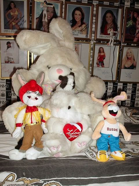 RabbitSoftToys.jpg