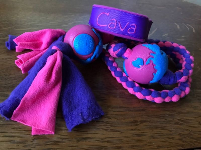 Alternative to conventional tennis balls German Shepherds Forum