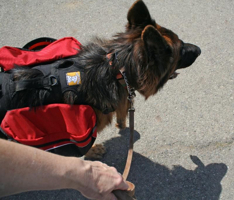 kelty k9 chuckwagon