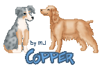 Copper_by_MJackson.gif