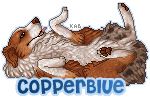 NewC-1-KosAsh-CopperBlue-1-1.png