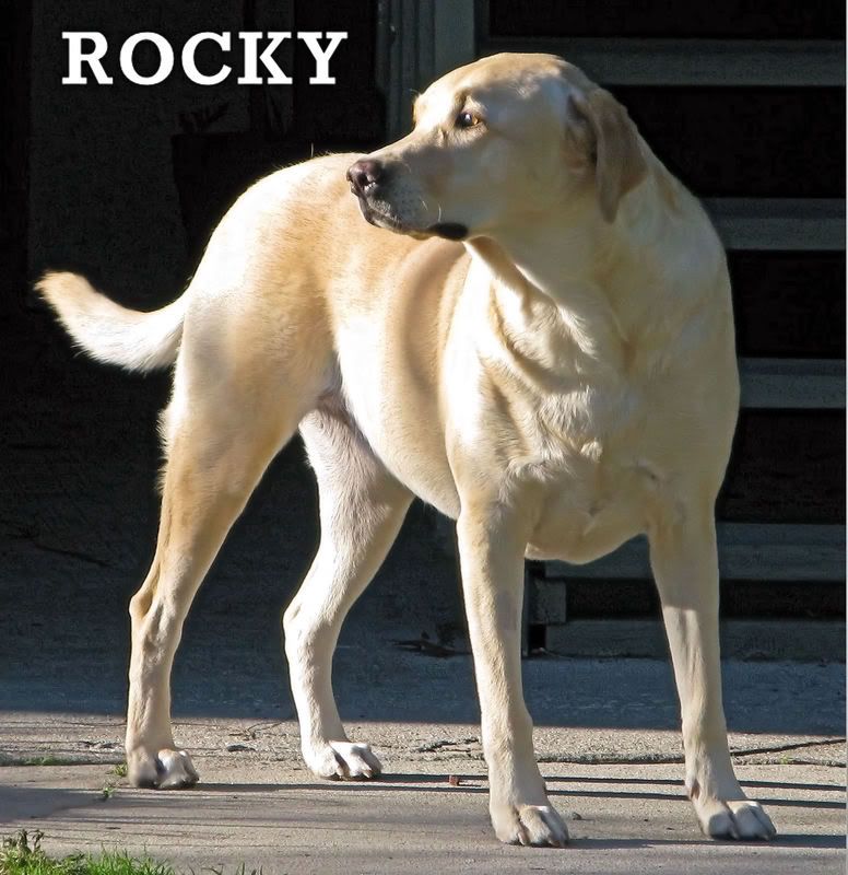 IMAGE: http://img.photobucket.com/albums/v163/tombell/IMG_0199.jpg