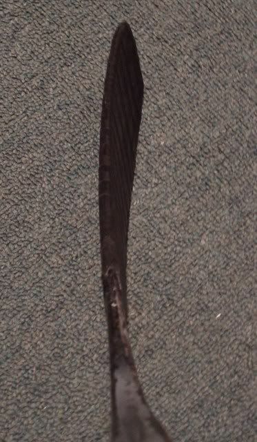 DSC00782.jpg