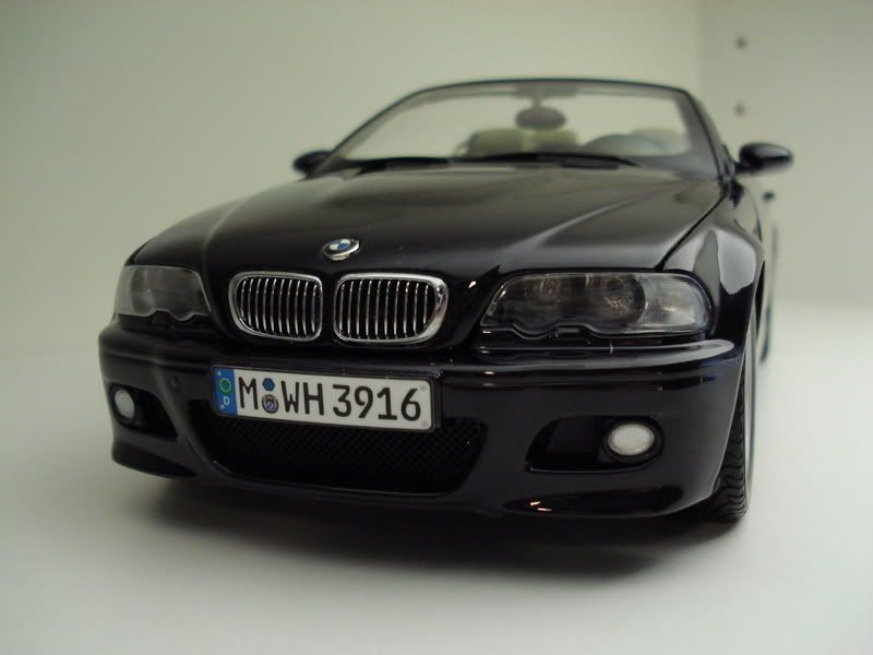 DSC01574.jpg