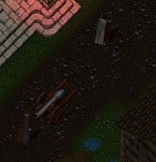 010.jpg