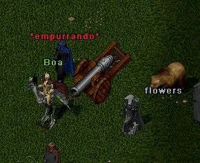 092.jpg