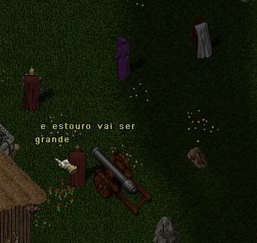 113.jpg