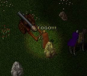 116.jpg