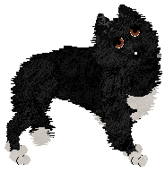 Image hosted by Photobucket.com