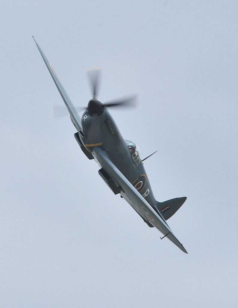 http://img.photobucket.com/albums/v165/YakRider/May%202018/Spitfire%204-1000_zpsaxllnebd.jpg