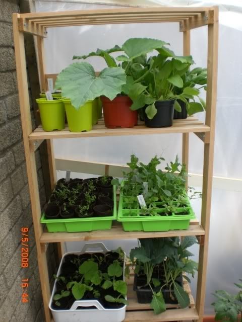 plants.jpg