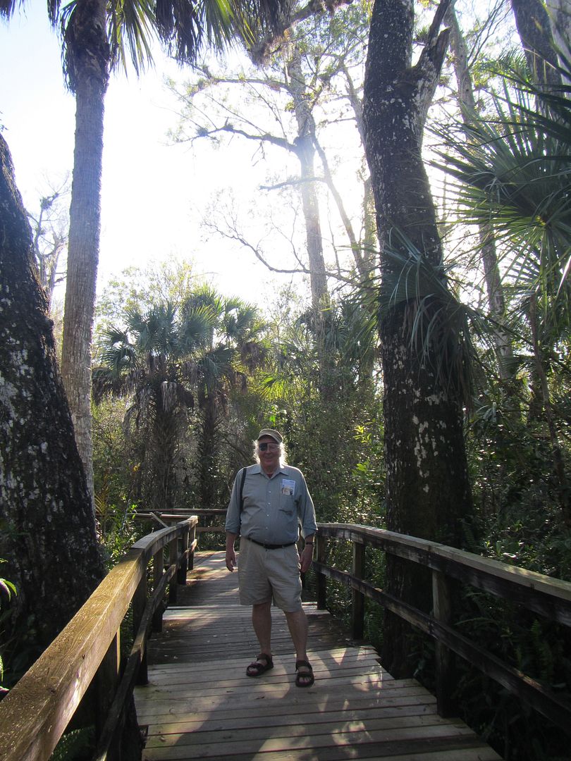 photo IMG_4590_zpsba546fcc.jpg
