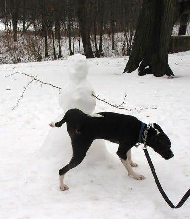 snowmanpee.jpg