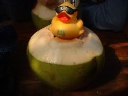 Ed sits on a coconut, boloting a drink