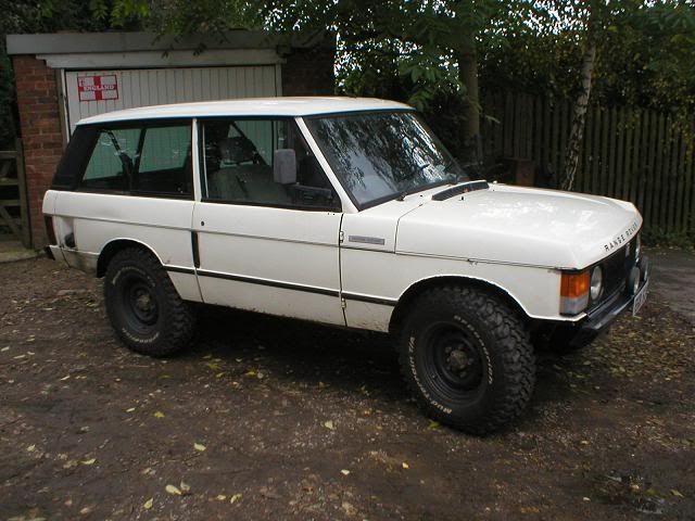 rangy2.jpg