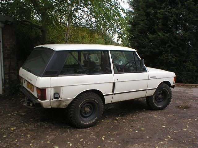 rangy3.jpg