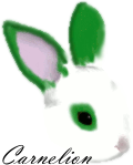 carnelionbunny.png