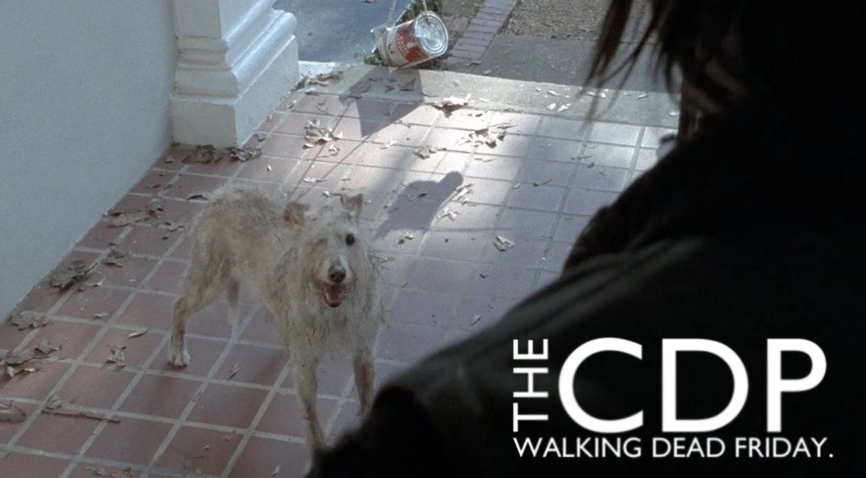 photo TWD0413Logo_zps09678908.jpg