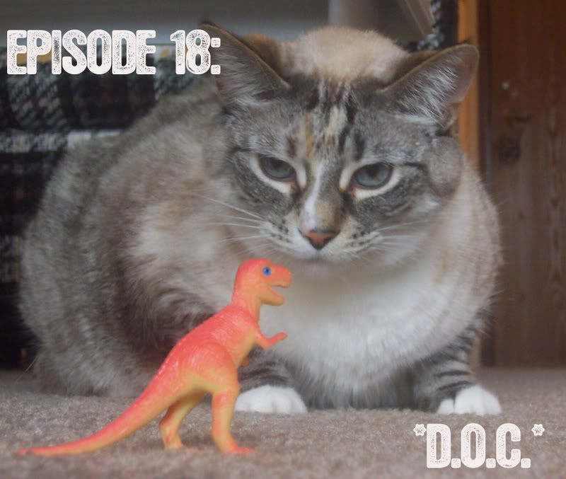 Tinker Cat Pwns You.