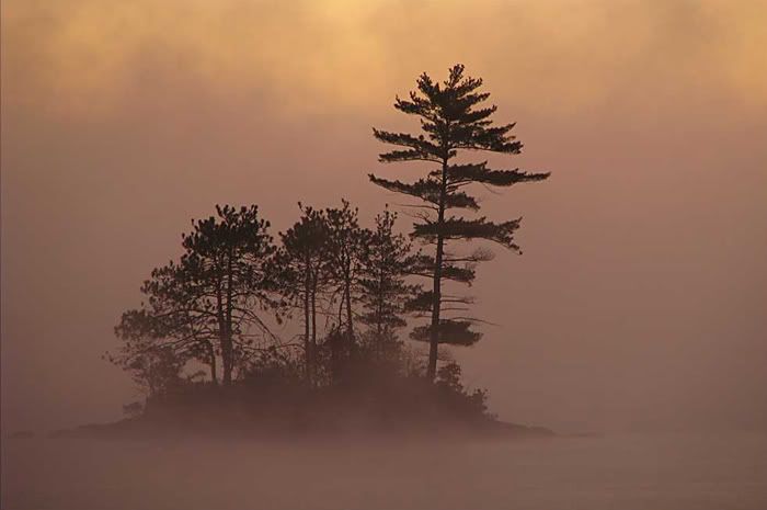 IMAGE: http://img.photobucket.com/albums/v167/beadnik/DawnonLakeWinnepesaukee-2.jpg