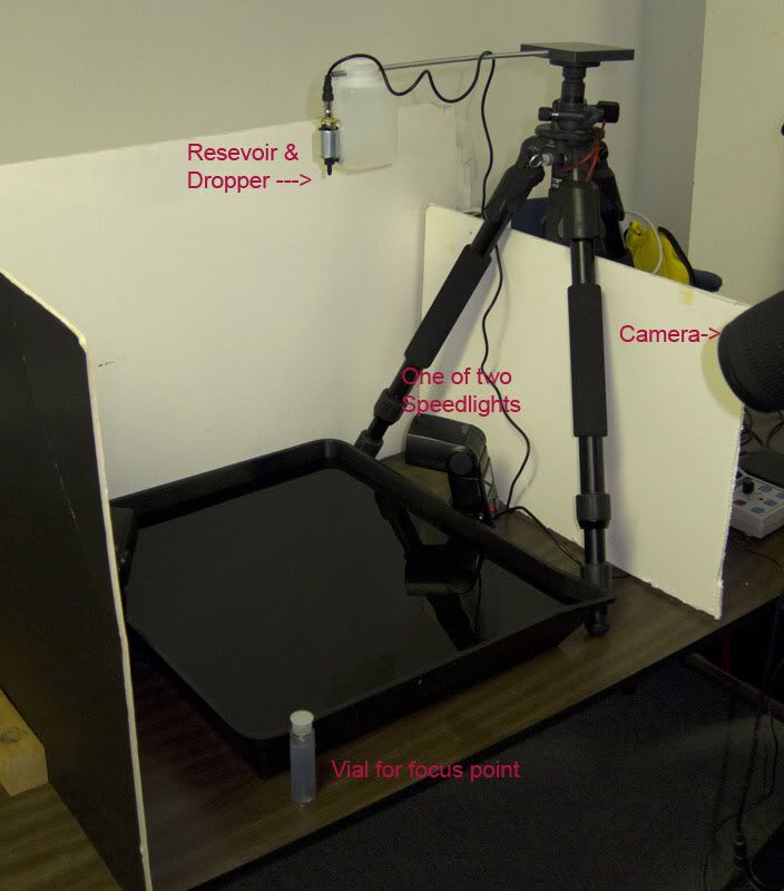 IMAGE: http://img.photobucket.com/albums/v167/beadnik/fa8fce92.jpg