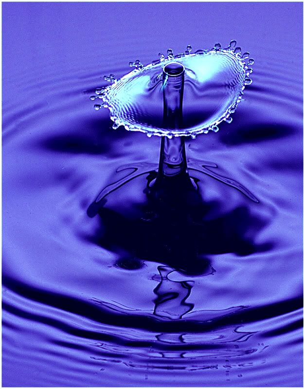 IMAGE: http://img.photobucket.com/albums/v167/beadnik/fef7b401.jpg