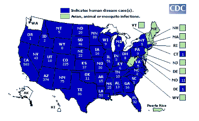 Map of West Nile Virus Activity for 2004 Map of West Nile Virus Activity for 2004
