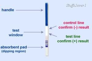  ovulation and 20 pregnancy test. We ship same day, so make sure you
