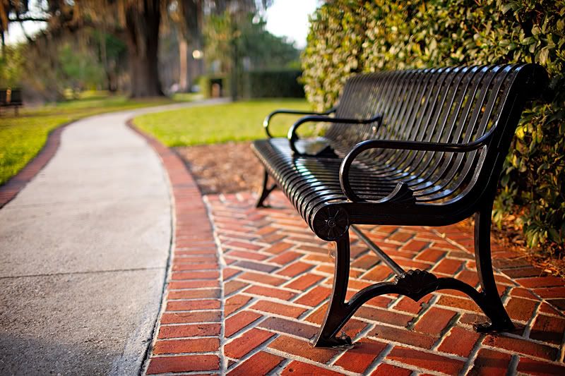 IMAGE: http://img.photobucket.com/albums/v167/scubaq/Orlando10.jpg