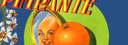 composición con sección de afiche publicitario de Naranjas Pimpante, de soyagricultora.com/carteles_naranjas.html