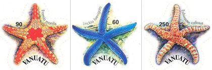 composition with section of post stamp from Vanuatu, from  www.marlen-stamps.com/stampresults.cfm?id=23586&pn=1&lkt=Vanuatu%202004%20%22Starfish%22%20set%20of%20four%20self-adhesive