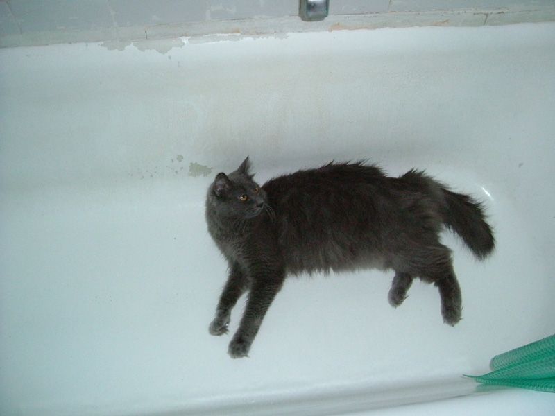 DSCF0589.jpg
