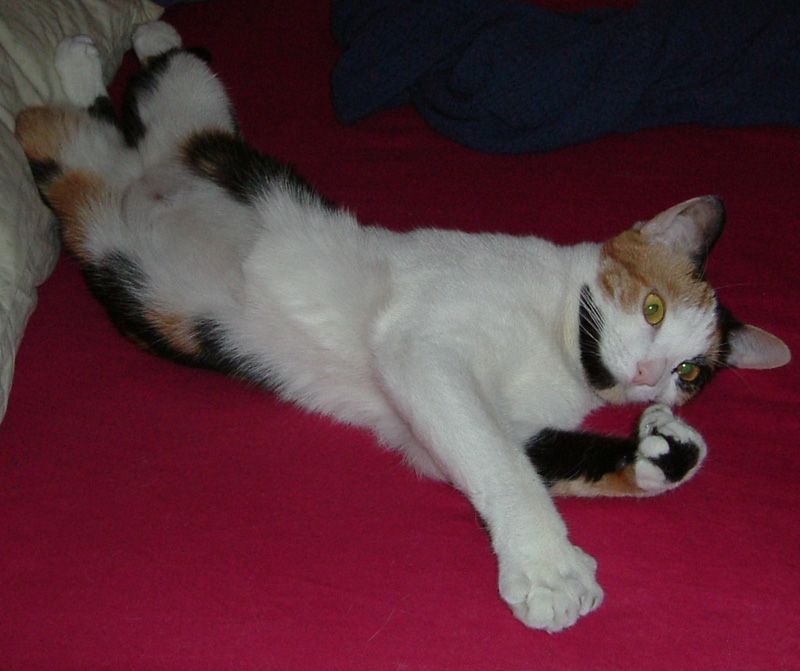 DSCF0673.jpg