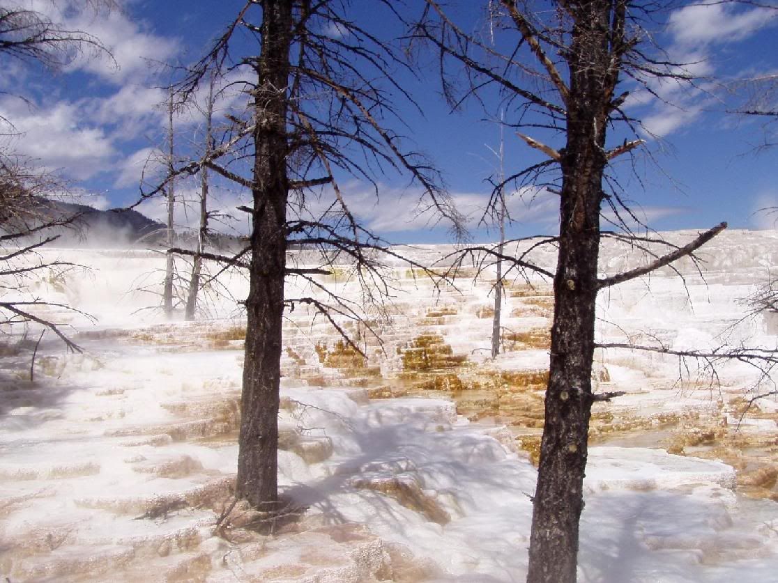 yellowstone_030.jpg