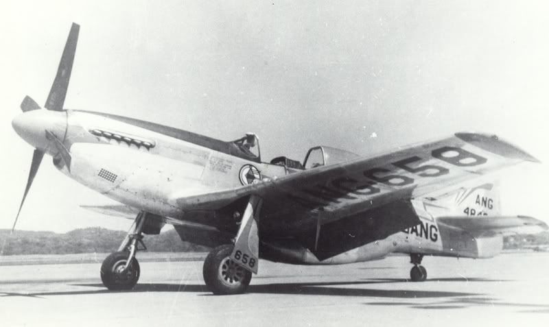 P-51BW-1.jpg