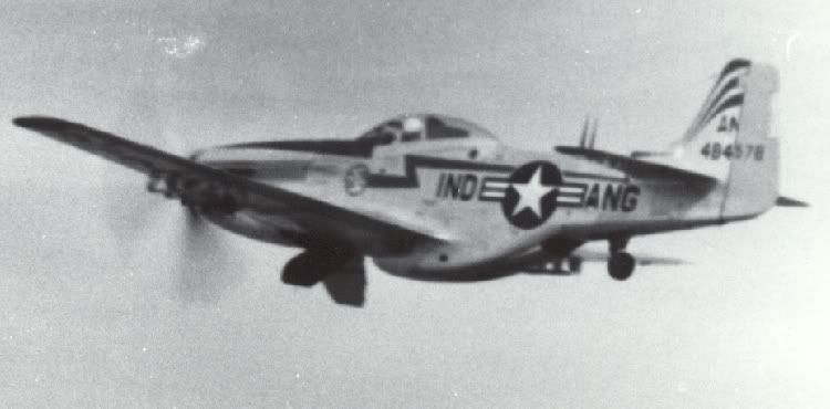 P-51In-Flight.jpg