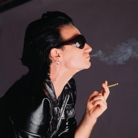 Bono-Fly_shades_Profile.jpg
