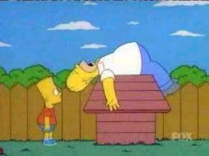 snoopy.jpg