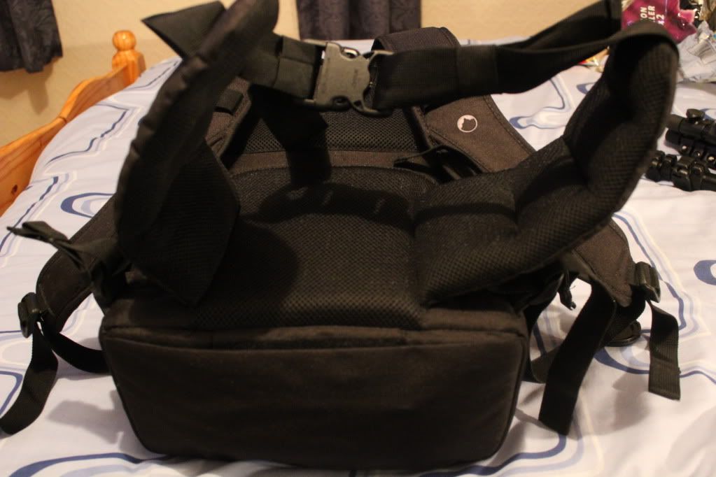 IMAGE: http://img.photobucket.com/albums/v17/opelderek/400aw/IMG_1924.jpg