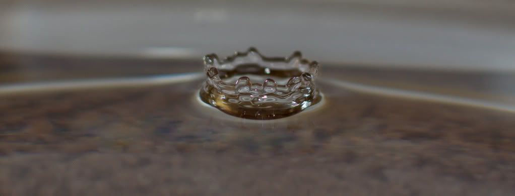 IMAGE: http://img.photobucket.com/albums/v17/opelderek/copyIMG_6300.jpg