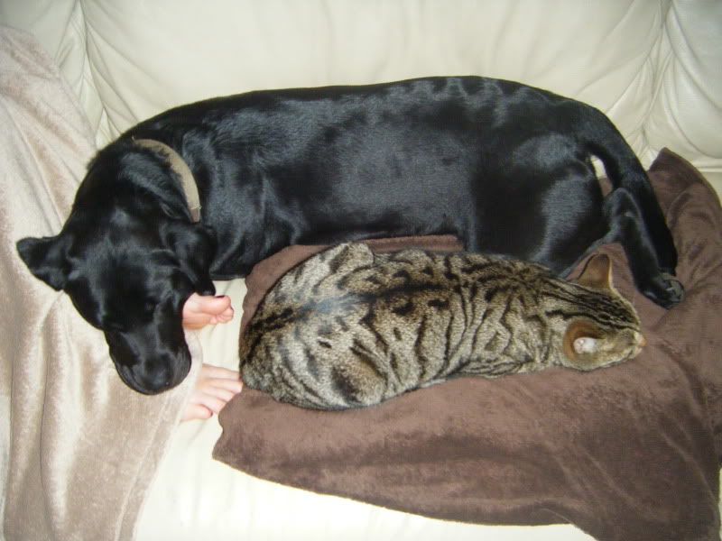 DSCF1339.jpg