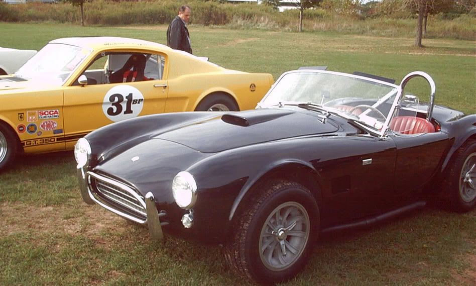Cobra and Mustang