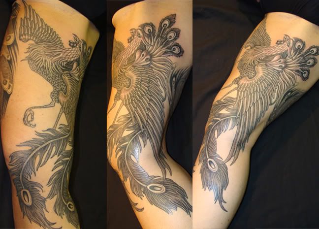 Big Phoenix Tattoo