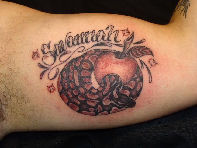 as the inner biceps tends