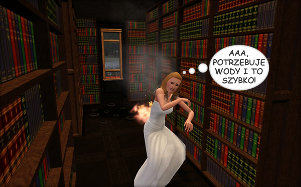 w_zps1b7529c4.png~original