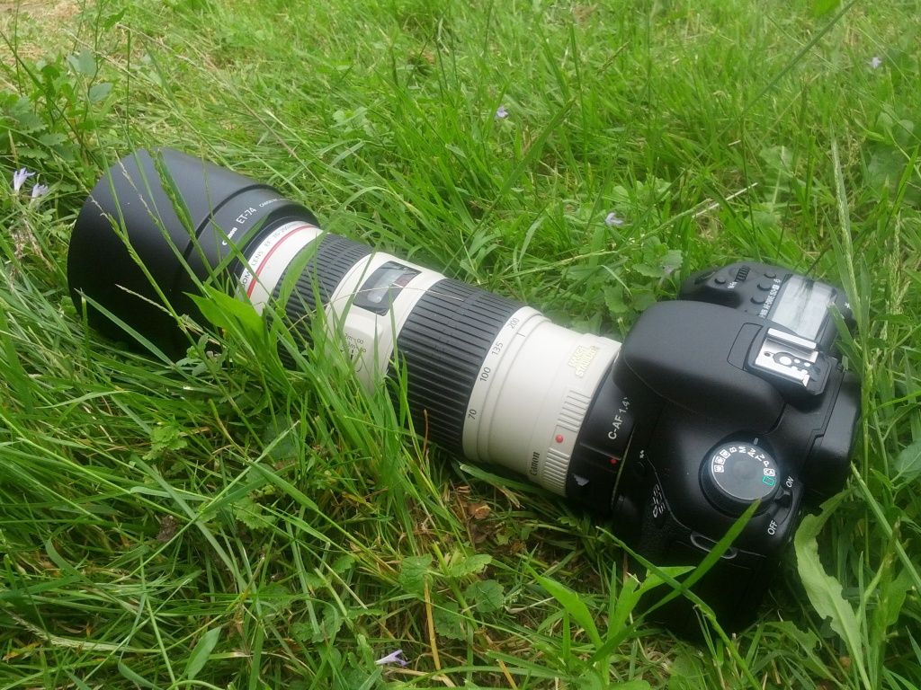 IMAGE: http://img.photobucket.com/albums/v170/scifiguy1012/IMG_20120611_155936.jpg