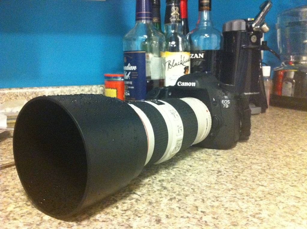 IMAGE: http://img.photobucket.com/albums/v170/scifiguy1012/Photography/7d7020043.jpg