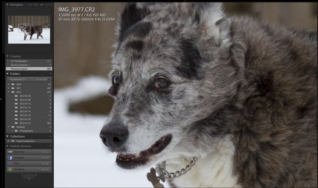 IMAGE: http://img.photobucket.com/albums/v170/scifiguy1012/Photography/7ddidalright2.jpg