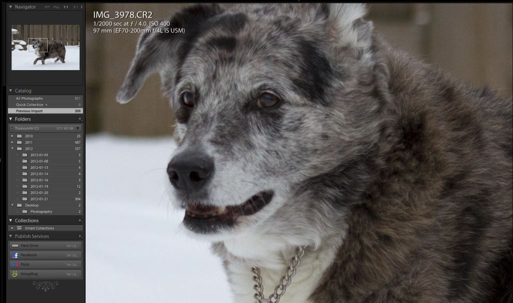 IMAGE: http://img.photobucket.com/albums/v170/scifiguy1012/Photography/7ddidalright3.jpg