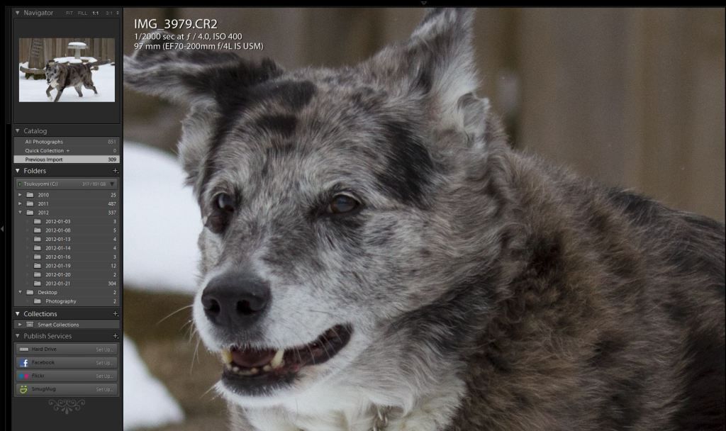 IMAGE: http://img.photobucket.com/albums/v170/scifiguy1012/Photography/7ddidalright4.jpg